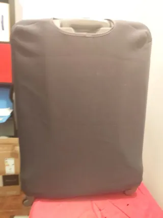 Maleta grande plateada, ligera y fácil de manejar