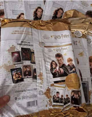 Álbum Archivador Harry Potter Oficial Panini
