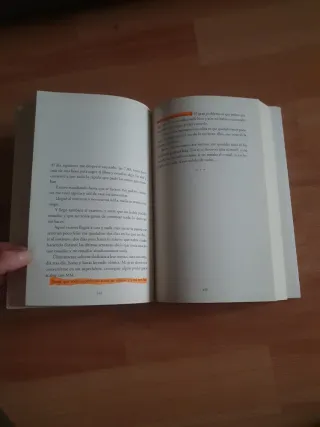 Invisible / Invisible (Spanish Edition)