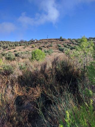 Terreno en venta en Puente Jontoya - Puente de la Sierra - El Arroyo en Jaén