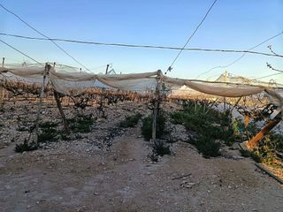 Solar en venta en Monforte del Cid