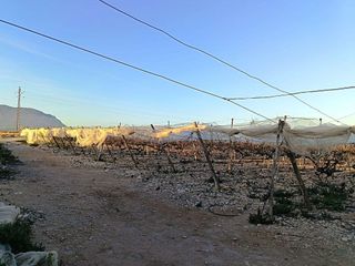 Solar en venta en Monforte del Cid