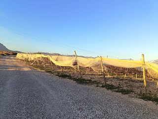 Solar en venta en Monforte del Cid