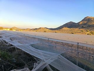 Solar en venta en Monforte del Cid