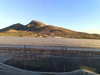 Solar en venta en Monforte del Cid