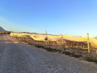 Solar en venta en Monforte del Cid