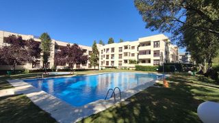 Estudio en alquiler en El Caño - Maracaibo en Rozas de Madrid (Las)