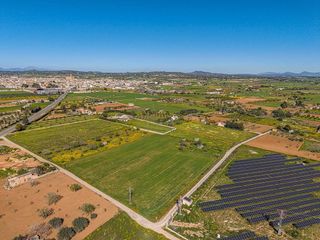 Terreno en venta en Porreres