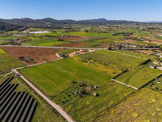 Terreno en venta en Porreres