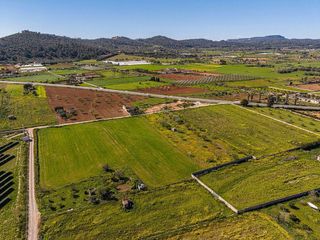 Terreno en venta en Porreres