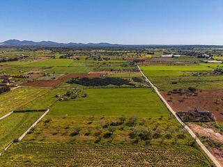 Terreno en venta en Porreres