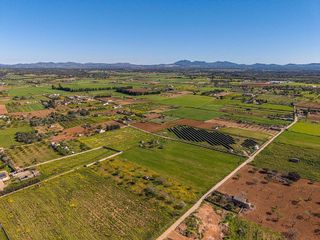 Terreno en venta en Porreres