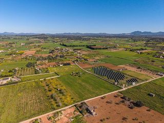 Terreno en venta en Porreres