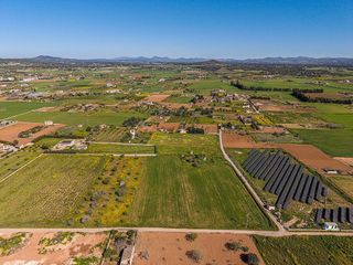 Terreno en venta en Porreres