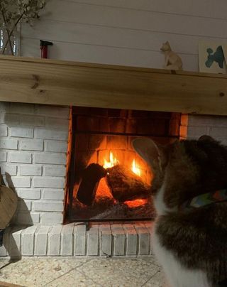 Terreno en venta en Villa del Prado