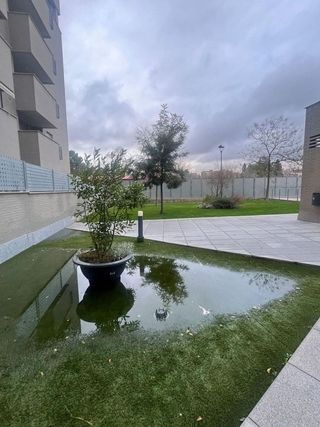 Piso en alquiler en Campus de la Salud en Granada