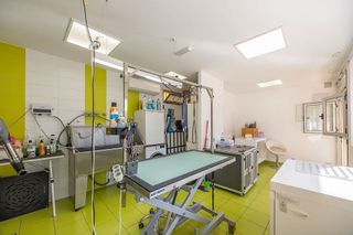 Local comercial en venta en Alcaravaneras en Palmas de Gran Canaria(Las)