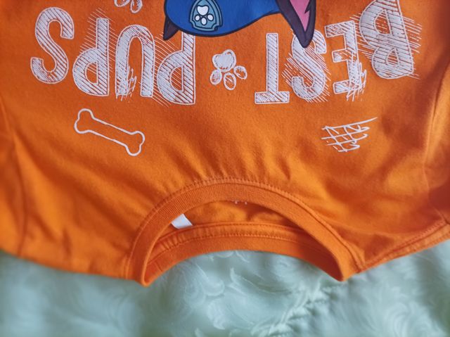 Camiseta Patrulla Canina Naranja