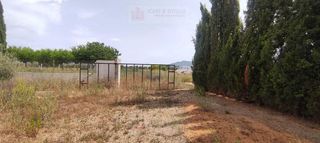 Terreno en venta en Ulldecona