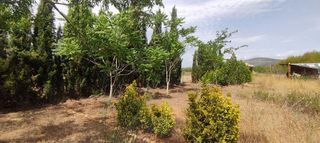 Terreno en venta en Ulldecona