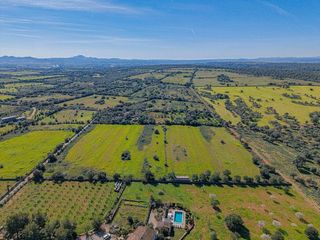 Solar en venta en Manacor Centro en Manacor