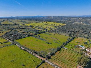 Solar en venta en Manacor Centro en Manacor