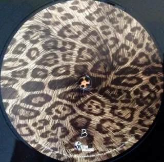 Garbage Strange Little Birds 2LPs 2016