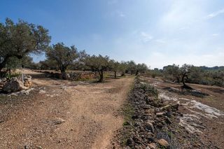 Terreno en venta en Urbanizaciones en Tortosa