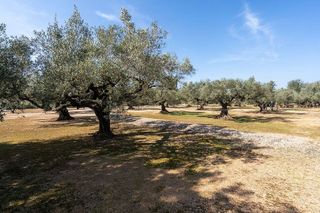 Terreno en venta en Urbanizaciones en Tortosa