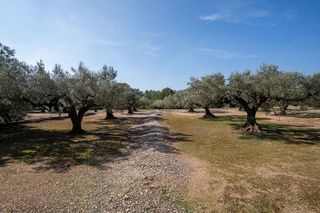 Terreno en venta en Urbanizaciones en Tortosa