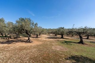 Terreno en venta en Urbanizaciones en Tortosa