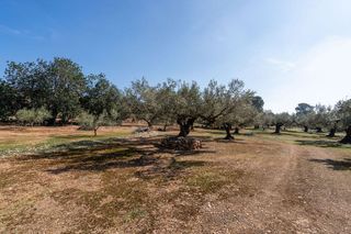 Terreno en venta en Urbanizaciones en Tortosa