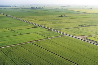 Terreno en venta en Deltebre