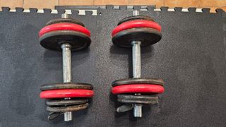 Mancuernas Domyos 28kg Ajustables + Discos