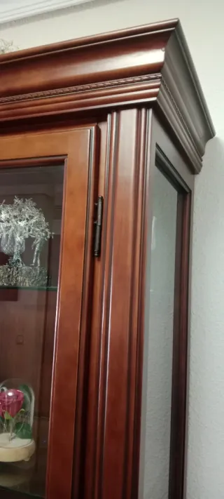 Vitrina de madera y cristal