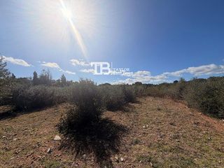 Solar en venta en Son Servera