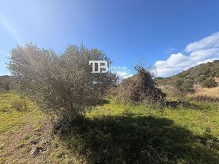 Solar en venta en Son Servera