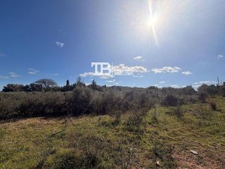 Solar en venta en Son Servera