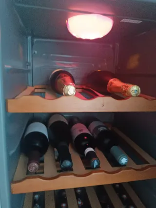 Nevera para vinos Haier