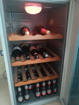 Nevera para vinos Haier