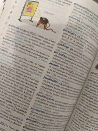 Diccionario Básico de la lengua española