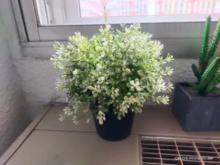 Plantas artificiales pequeñas