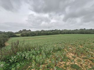 Solar en venta en Manacor Centro en Manacor