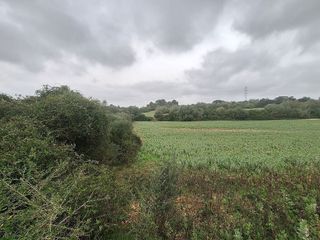 Solar en venta en Manacor Centro en Manacor