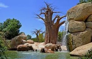 Piso en alquiler en Ciutat Jardí en Valencia
