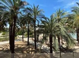 Piso en alquiler en Ciutat Jardí en Valencia