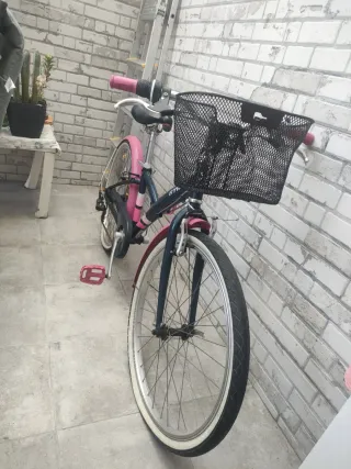 Bicicleta infantil rosa y azul