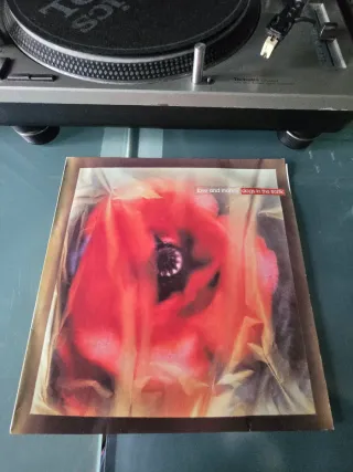 Vinilo Love and Money - Dogs in the traffic