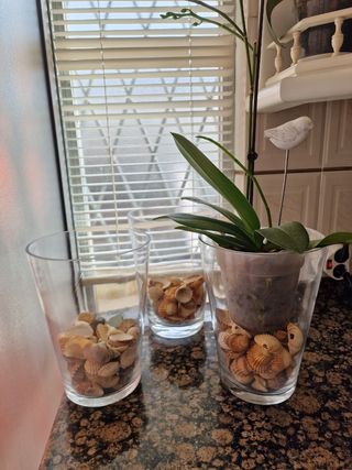 3 Jarrones Cristal Orquídeas Piedras