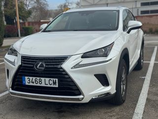 Lexus NX 2019